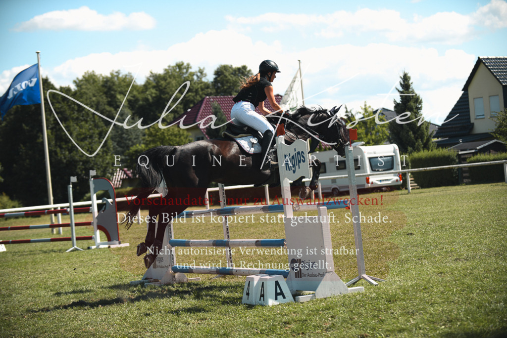 DSC_7072 | Pferde- und Turnierfotografie in Westsachsen. Pferdeportraits, Auftragszeichnungen und intuitive Kunst.
