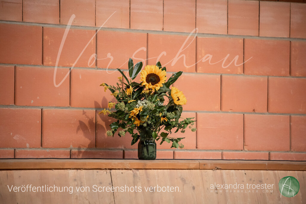 250913_Barop_11_094 | farbklaex.com