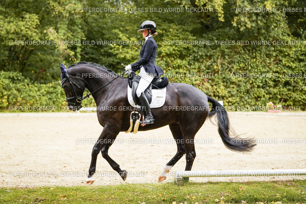 DSC00027 | Pferdegrafie