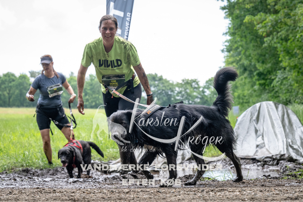 1110_ZZ91800 | kk-dogfotos