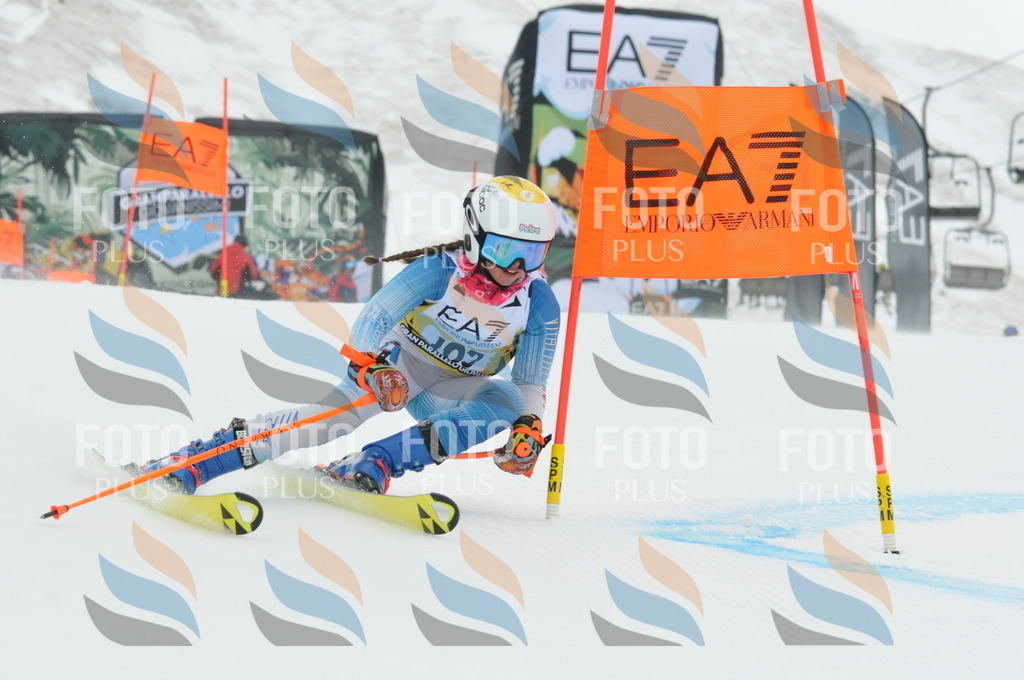 DSC_8865 | holidayphoto