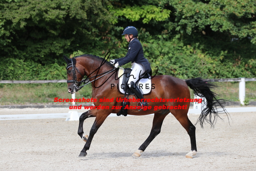 IMG_6819 | lmwpictures - Realisiert mit Pictrs.com