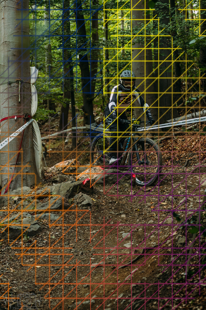 PAE-0985 | Einzigartige Fotokunst für dein Zuhause: Entdecke hochwertige Wandbilder, edle Prints und emotionale Motive von Wildlife, Natur und Landschaften - Realisiert mit Pictrs.com