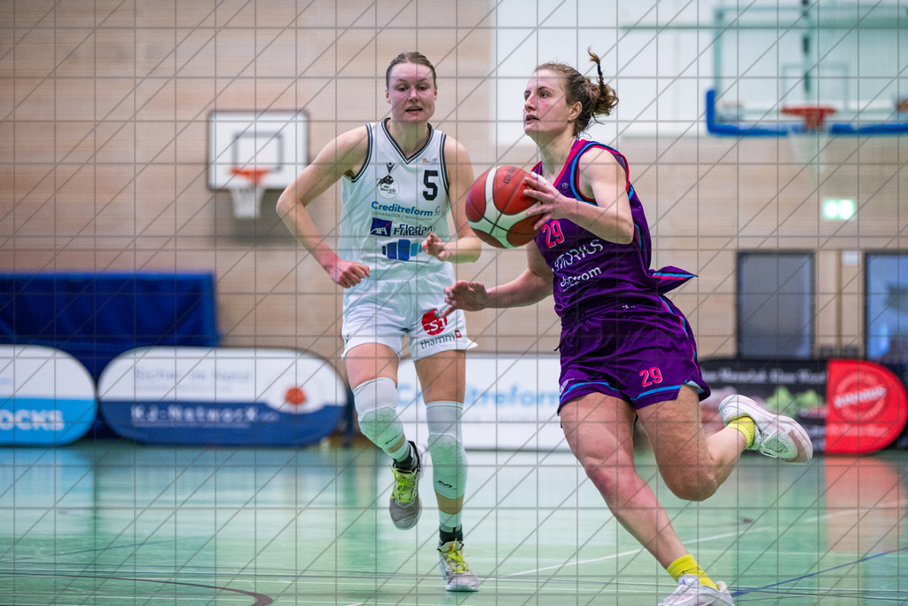 2. DBBL Nord 25/26 | Spieltag 17 | BBC Osnabrück vs. BG74 Veilchen Ladies Göttingen | 01.02.26: 2. DBBL Nord 25/26 | Spieltag 17 | BBC Osnabrück vs. BG74 Veilchen Ladies Göttingen / Osnabrück / Deutschland  //   CREDIT:www.bullenfotos.de, Martin König, Hörner Weg 40, D-49078 Osnabrück, +4917663732967 // Nutzung und Weitergabe nur zu den vereinbarten Zwecken. Presseanfragen an Ersteller. Alle Rechte beim Ersteller. Honorierung nach MFM. - Realisiert mit Pictrs.com