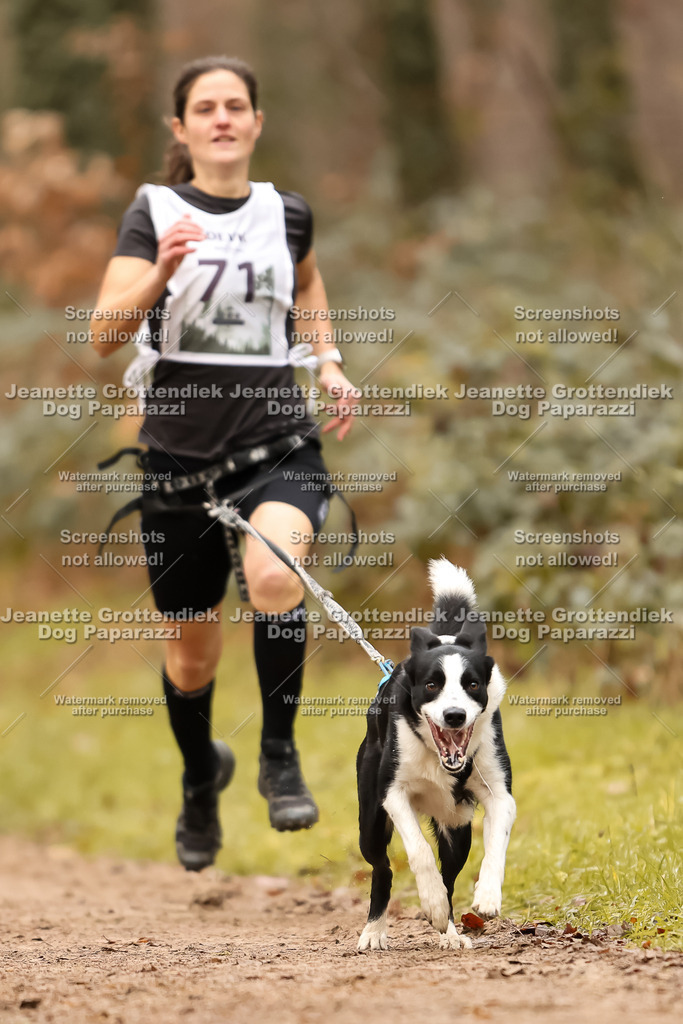 Dog Paparazzi - Speedhunter Mannheim  2025-210 | Dog Paparazzi Jeanette Grottendiek Fotografie & Videografie