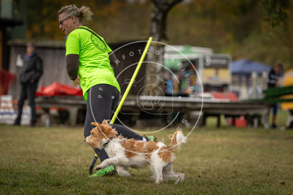 Pfotenfotografie_DV3A5581 | Hundefotografie, Tierfotograf, Pfotenfotografie, Fotoshooting Hund, Hunde Portrait, Hundesport, Hundeportraits, Heideshooting, Hunde, Sportfotograf, Hundefotograf, Turnierhundsport, THS,  - Realisiert mit Pictrs.com