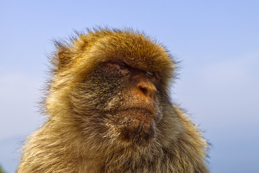 1H5A2967 | ansichtssache