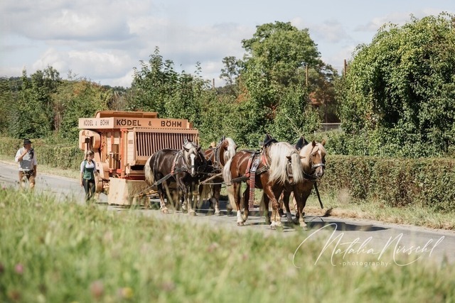 7V6A2053 | natalia-nirschl-photography