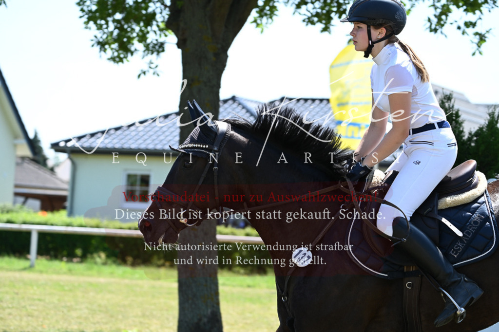 DSC_0743 | Pferde- und Turnierfotografie in Westsachsen. Pferdeportraits, Auftragszeichnungen und intuitive Kunst.