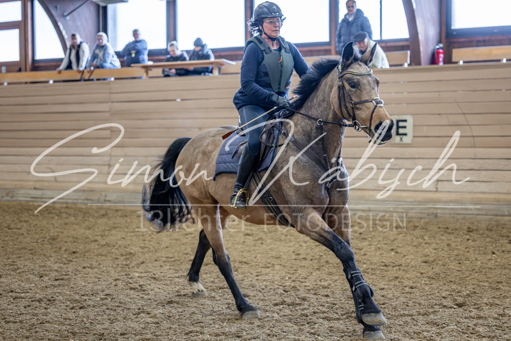 20260222-_3LI1915 | Tierfotografie Pferde, Hunde, Katzen, Haustiere.
Turnierfotografie Reitturniere, Reiten, Springreiten, Dressur in Hanau, dem Main-Kinzig-Kreis und dem Rhein-Main- Gebiet um Frankfurt