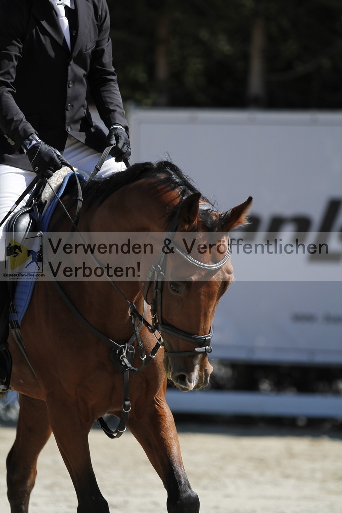 _MG_4635 | equestrian-live-com