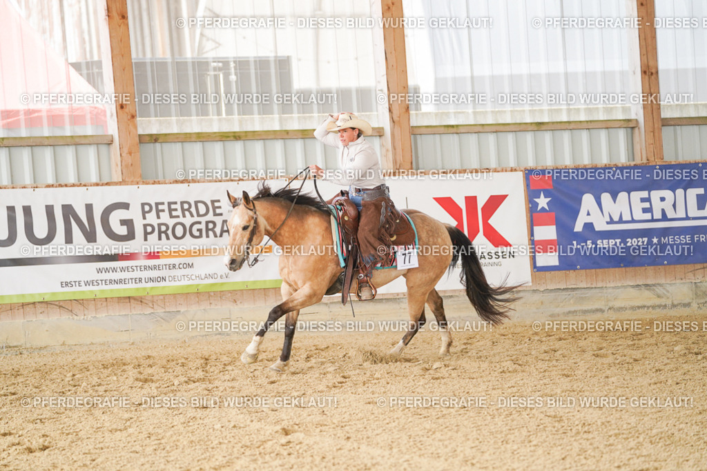 DSC01861 | Pferdegrafie