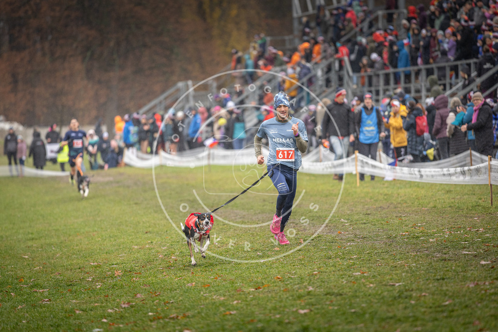 CaniXpix_DV3A0007 | Hundefotografie, Tierfotograf, Pfotenfotografie, Fotoshooting Hund, Hunde Portrait, Hundesport, Hundeportraits, Heideshooting, Hunde, Sportfotograf, Hundefotograf, Turnierhundsport, THS,  - Realisiert mit Pictrs.com