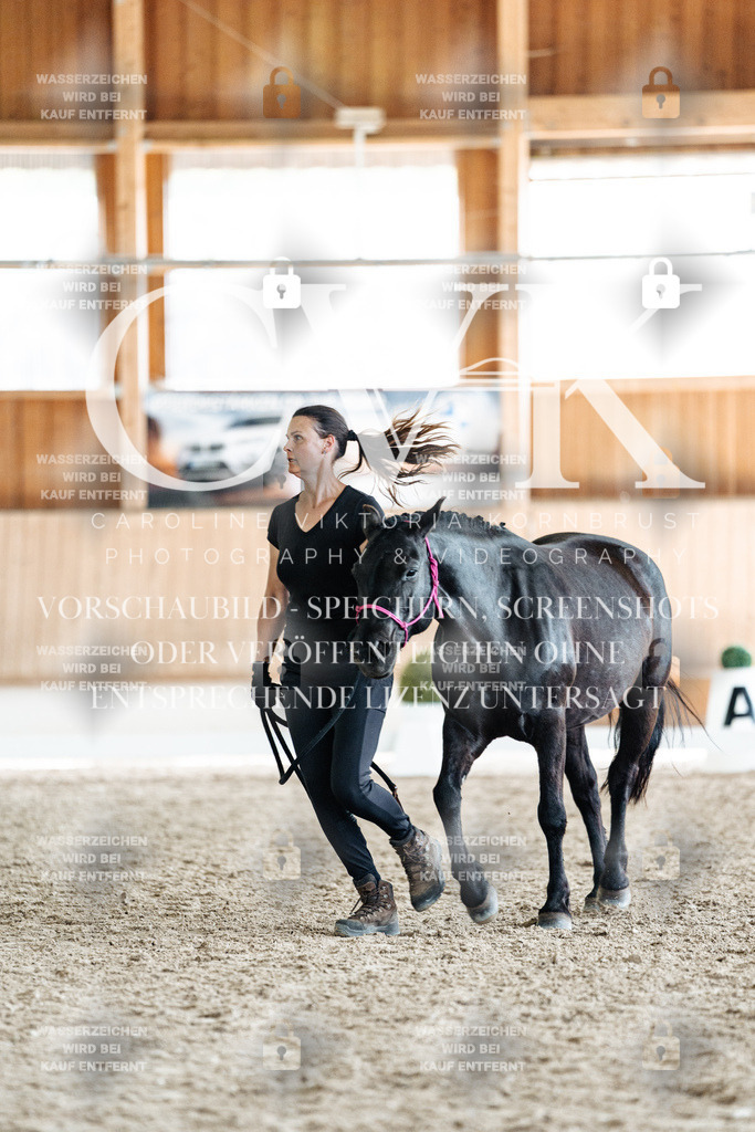 CK908315 | Turnierfotografie Pferdefotografie Trier Rheinland-Pfalz Pferdesport Reitsport Tierfotografie Sportfotografie Pferdevideo Pferdevideografie Equestrianvideography equestrianphotography  - Realisiert mit Pictrs.com