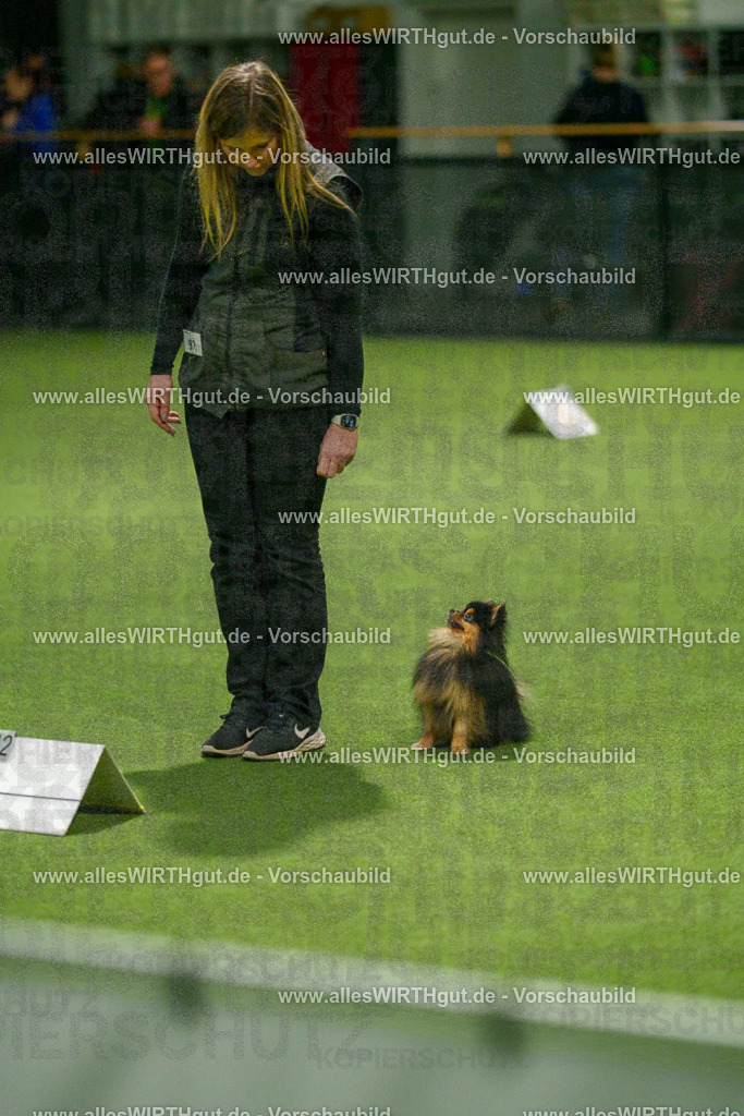 7R508927 | Professionelle Tierfotografie in Mönchengladbach von Daniel Wirth (allesWIRTHgut). Liebevolle & natürliche Bilder von Hunden & Katzen für unvergessliche Erinnerungen.