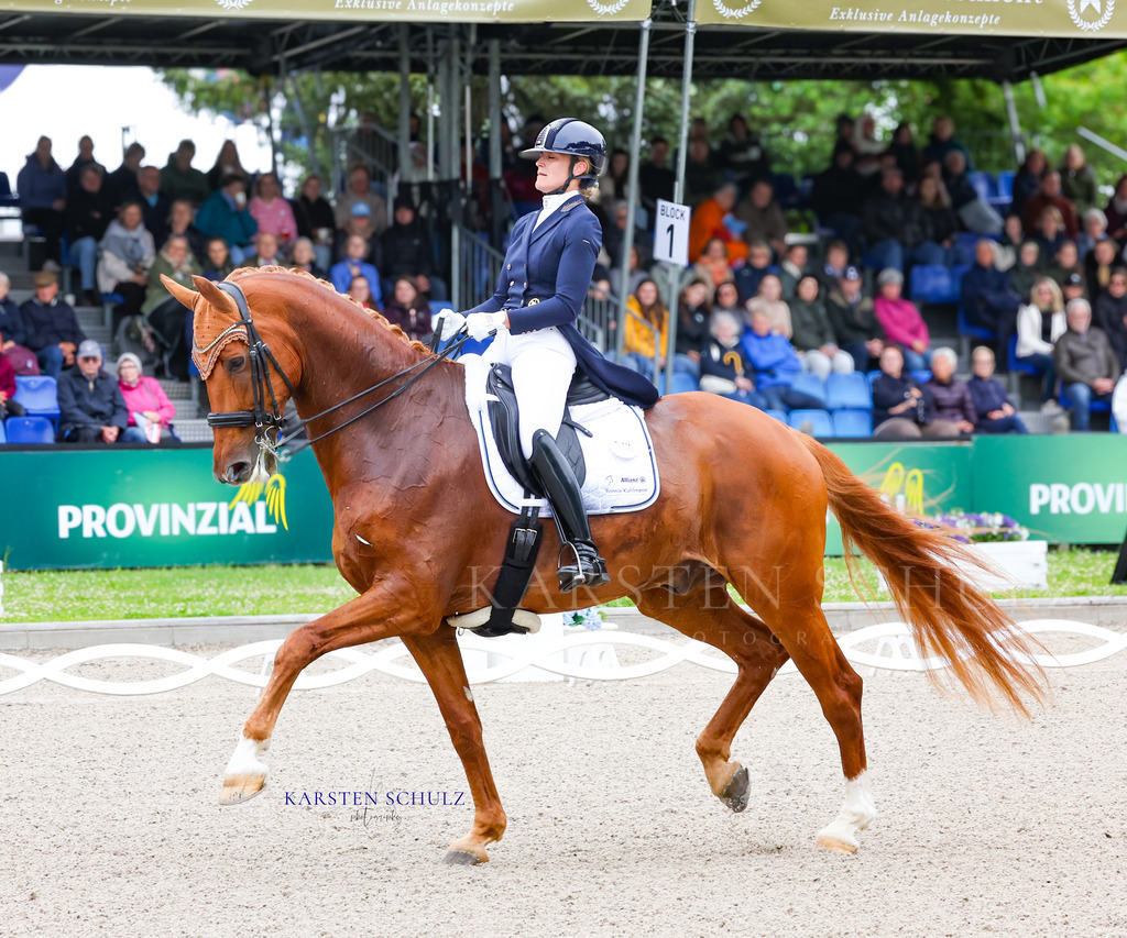 1B3A7263 | Reitsport Reiten