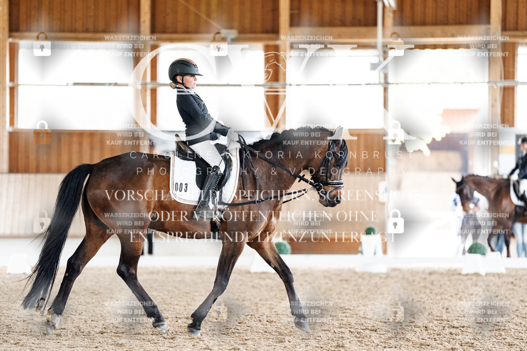 CK901678 | Turnierfotografie Pferdefotografie Trier Rheinland-Pfalz Pferdesport Reitsport Tierfotografie Sportfotografie Pferdevideo Pferdevideografie Equestrianvideography equestrianphotography  - Realisiert mit Pictrs.com