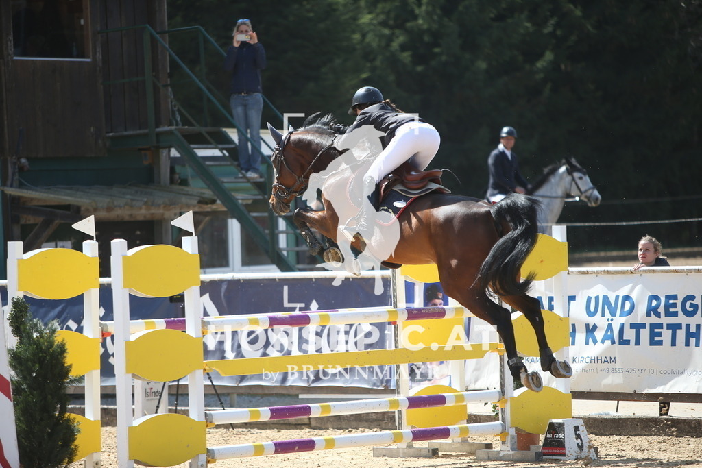 PP014896 | Willkommen bei Brunnmayr - Design & Fotografie – Ihrem Spezialisten für Reitturniere und Pferdeveranstaltungen in Oberösterreich, Salzburg und Bayern! Seit über 17 Jahren sind wir leidenschaftlich dabei.
