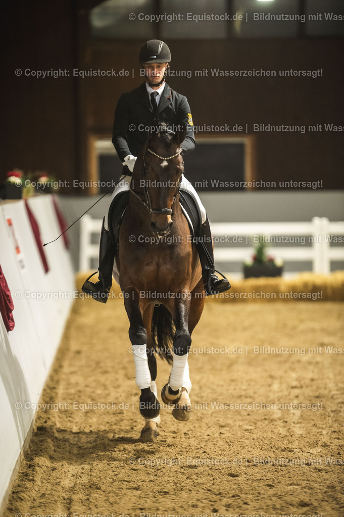 20240302_Hengstvorstellung_Marbach_TOMsPiC_1225 | equistock