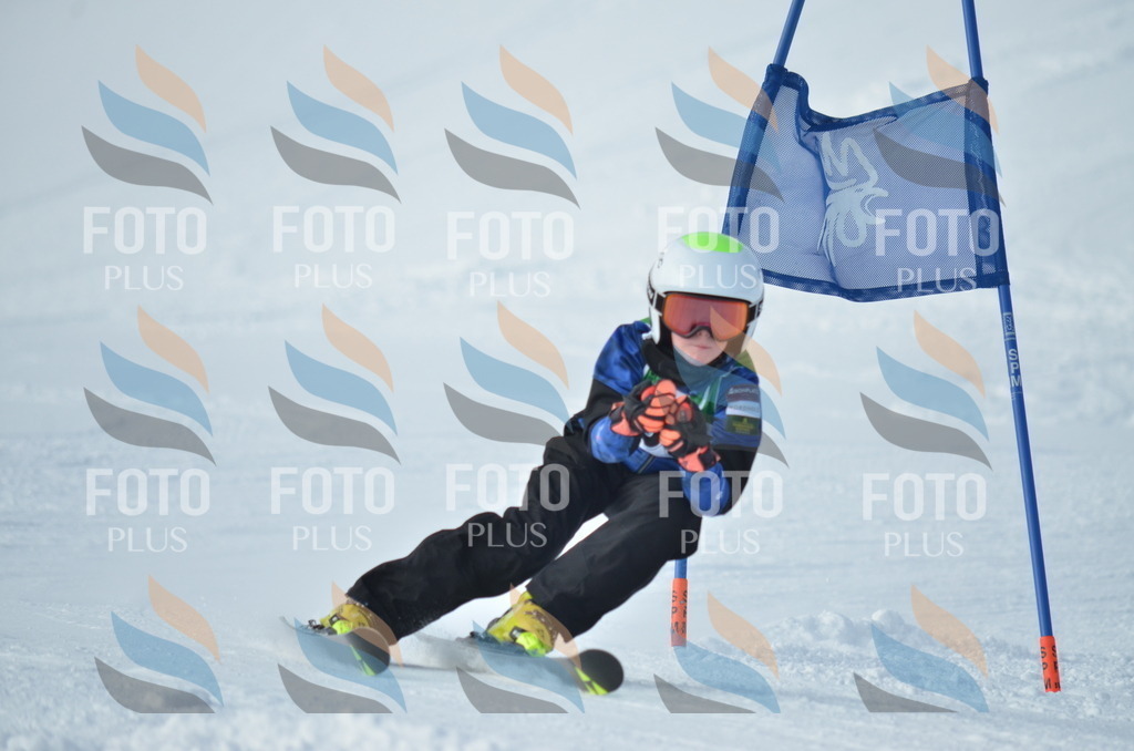 D8687 | holidayphoto