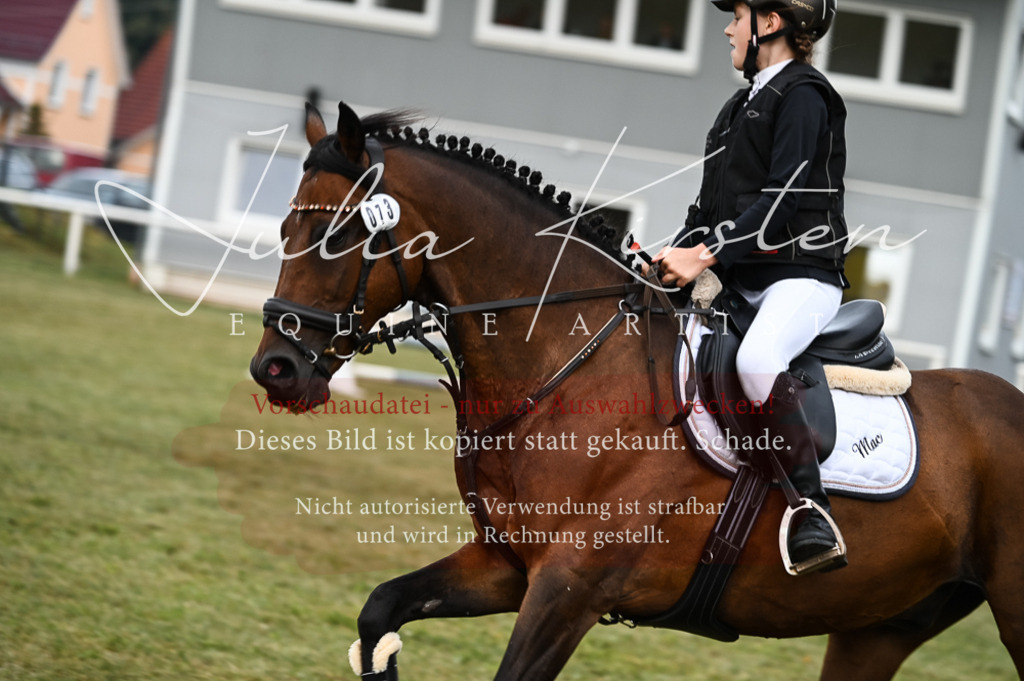 DSC_5447 | Pferde- und Turnierfotografie in Westsachsen. Pferdeportraits, Auftragszeichnungen und intuitive Kunst.