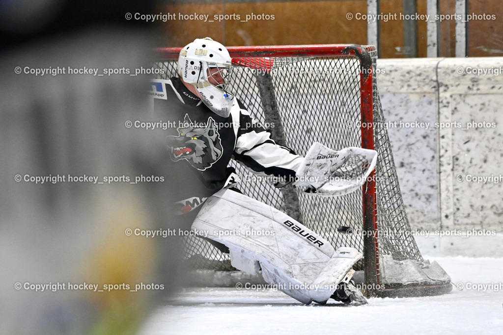 EC Tigers Paternion vs. Tarco Wölfe II | #34 Schleinzer Manuel Tarco Wölfe II, Tor EC Tigers Paternion, EC Tigers Paternion vs. Tarco Wölfe II, EC Tigers Paternion vs. Tarco Wölfe II am 19.12.2024 in Spittal an der Drau (Eissportzentrum Spittal), Austria, (Photo by Bernd Stefan)