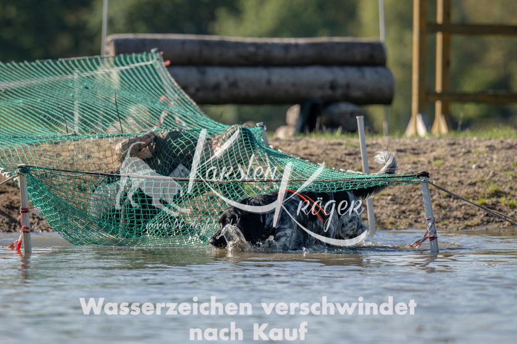 1352_ZZ91510 | kk-dogfotos