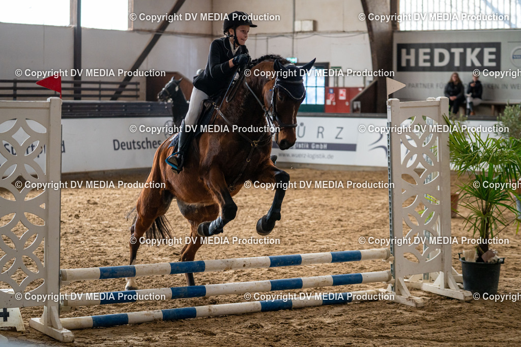 Kranichstein Tag 2-767 | dv-media-shop - Realisiert mit Pictrs.com