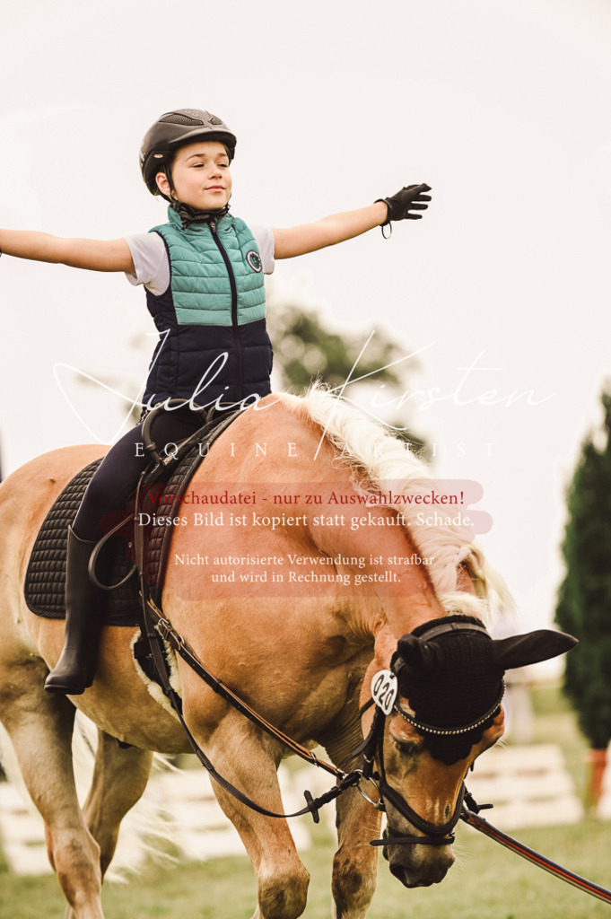 DSC_5301 | Pferde- und Turnierfotografie in Westsachsen. Pferdeportraits, Auftragszeichnungen und intuitive Kunst.