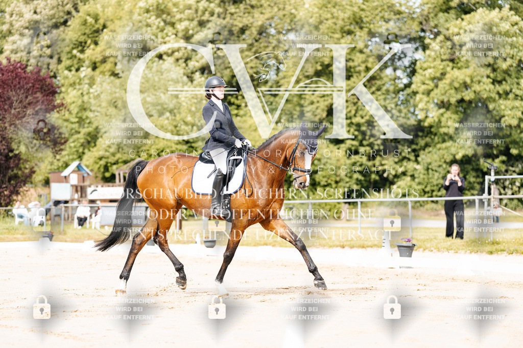 CK900686 | Turnierfotografie Pferdefotografie Trier Rheinland-Pfalz Pferdesport Reitsport Tierfotografie Sportfotografie Pferdevideo Pferdevideografie Equestrianvideography equestrianphotography  - Realisiert mit Pictrs.com