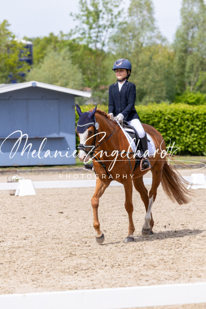 7I8A2891 | melanie-engelhardt-photography - Realisiert mit Pictrs.com