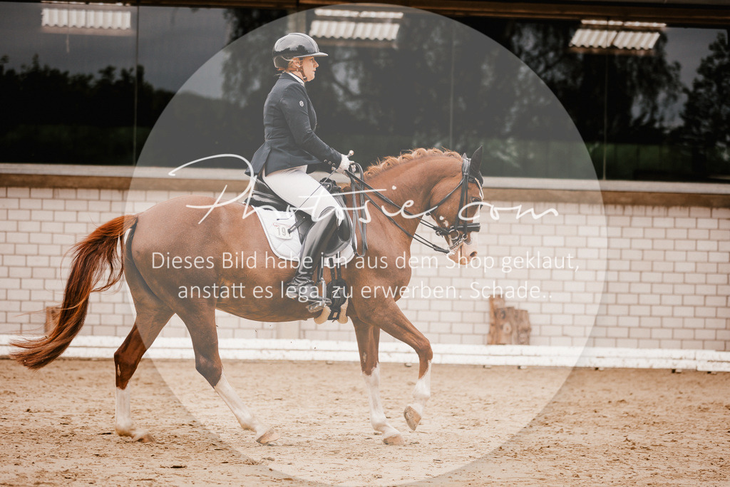 3I6A7774 | Stimmungsvolle Portraits und Reitsportfotografie im Ruhrgebiet und im Münsterland.

Pferdefotografie, Hundefotografie, Tierfotografie, Reportagen, Portraits von Tier und Mensch, Turnierfotografie in Bochum, Recklinghausen, Marl, Haltern am See, Dülmen.. - Realisiert mit Pictrs.com
