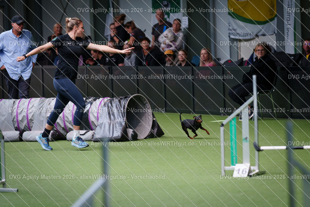 allesWIRTHgut_Tierfotografie-DVG_Agility_Masters_2026-12_16-7R507759 | Professionelle Tierfotografie in Mönchengladbach von Daniel Wirth (allesWIRTHgut). Liebevolle & natürliche Bilder von Hunden & Katzen für unvergessliche Erinnerungen.