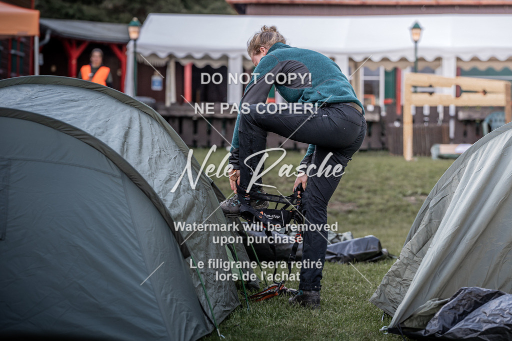 6Z1A1840 | nelerasche