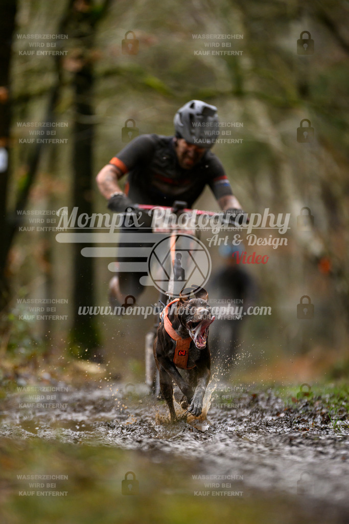 MompixPhotography_CDSM24_SA_DS1-34 | PayLife