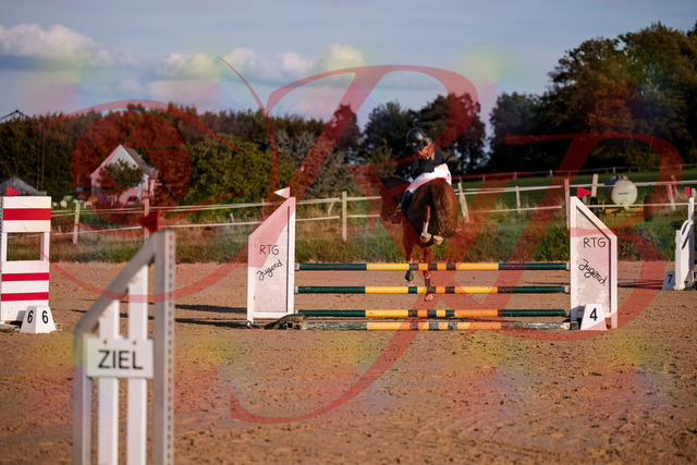 2026_10_03_Siefer-Hof_171728_Z81_15328472 | Professionelle Reitsport-, Turnier- und Eventfotografie von Robert Broda. Galerien mit ausgewählten und bearbeiteten Bildern direkt online ansehen und bestellen.