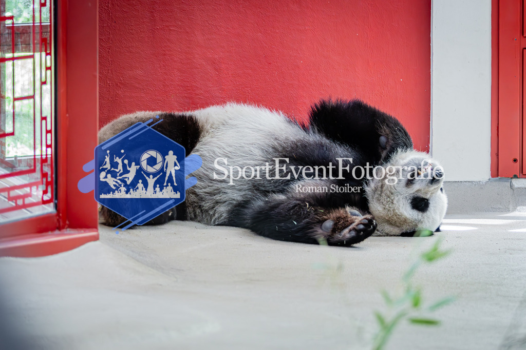 IMG_6853 | SportEventFotografie - Roman Stoiber