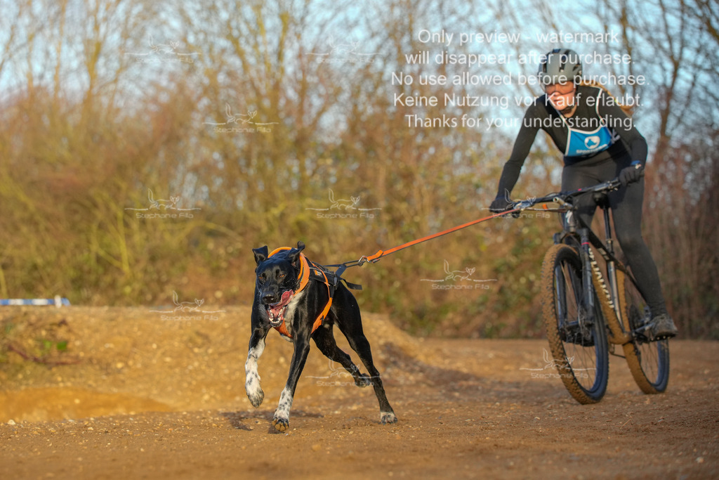 So_DVGBSP2025_Bike (129 von 358) | stephaniefillaphotographie - Realisiert mit Pictrs.com