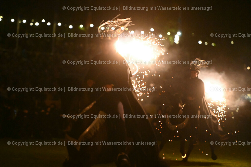 20230526_Pferdenacht_1588 | equistock
