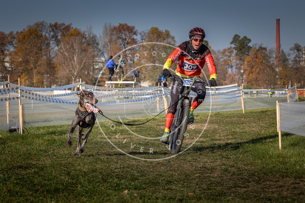 CaniXpix_0L8A7559 | Hundefotografie, Tierfotograf, Pfotenfotografie, Fotoshooting Hund, Hunde Portrait, Hundesport, Hundeportraits, Heideshooting, Hunde, Sportfotograf, Hundefotograf, Turnierhundsport, THS,  - Realisiert mit Pictrs.com