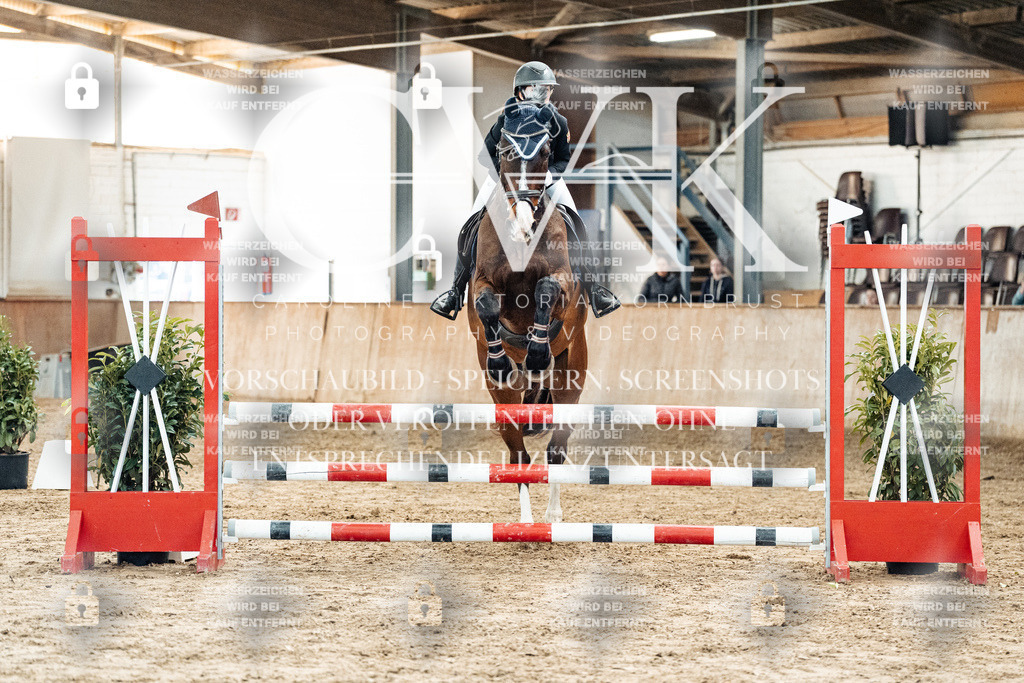 CK904446 | Turnierfotografie Pferdefotografie Trier Rheinland-Pfalz Pferdesport Reitsport Tierfotografie Sportfotografie Pferdevideo Pferdevideografie Equestrianvideography equestrianphotography  - Realisiert mit Pictrs.com