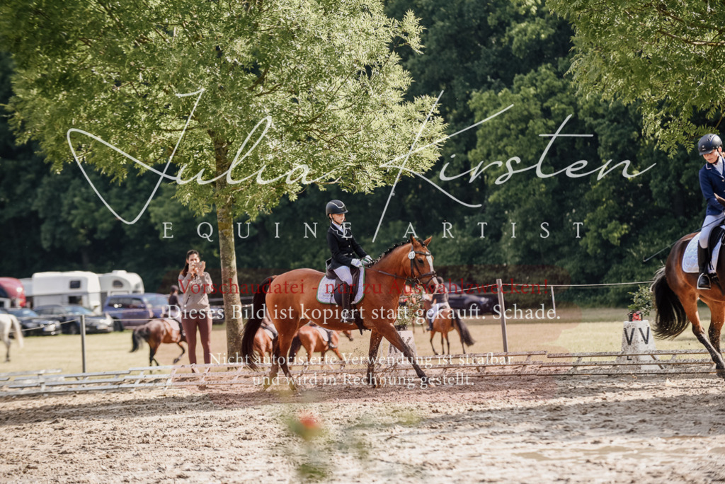 DSC_9161 | Pferde- und Turnierfotografie in Westsachsen. Pferdeportraits, Auftragszeichnungen und intuitive Kunst.