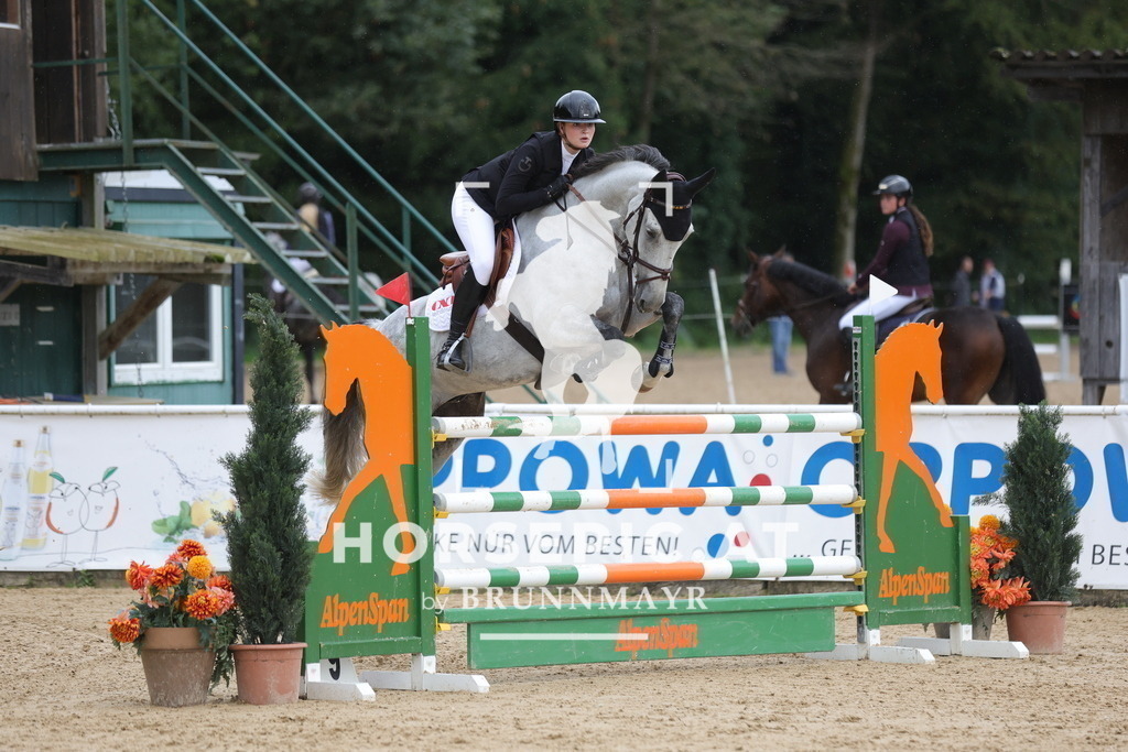 0P6A0309 | Willkommen bei Brunnmayr - Design & Fotografie – Ihrem Spezialisten für Reitturniere und Pferdeveranstaltungen in Oberösterreich, Salzburg und Bayern! Seit über 17 Jahren sind wir leidenschaftlich dabei.