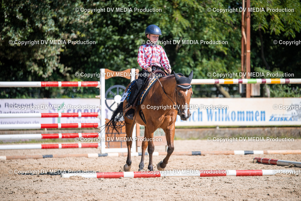 ZS1_0898 | dv-media-shop - Realisiert mit Pictrs.com