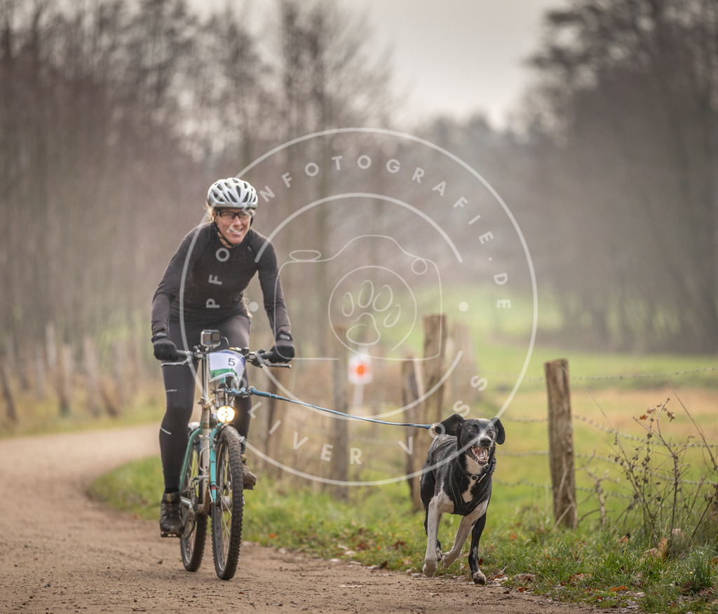 Pfotenfotografie_DV3A1560 | Hundefotografie, Tierfotograf, Pfotenfotografie, Fotoshooting Hund, Hunde Portrait, Hundesport, Hundeportraits, Heideshooting, Hunde, Sportfotograf, Hundefotograf, Turnierhundsport, THS,  - Realisiert mit Pictrs.com