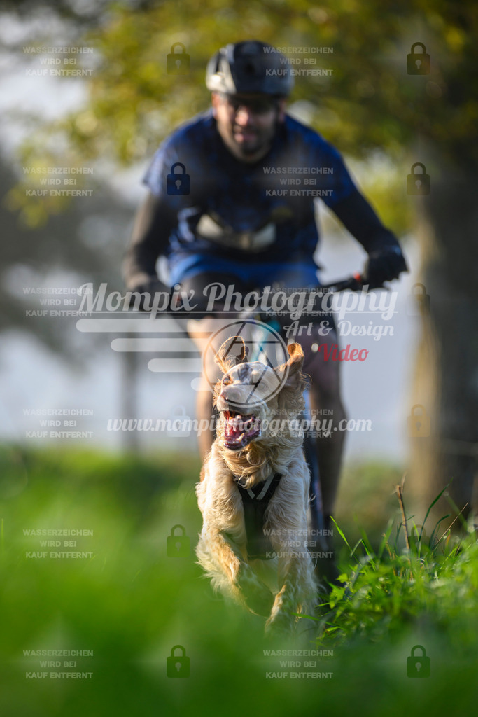 MompixPhotography_20TSB_E3_Bike-160 | PayLife