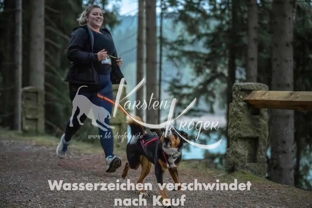0833_ZZ92017 | kk-dogfotos