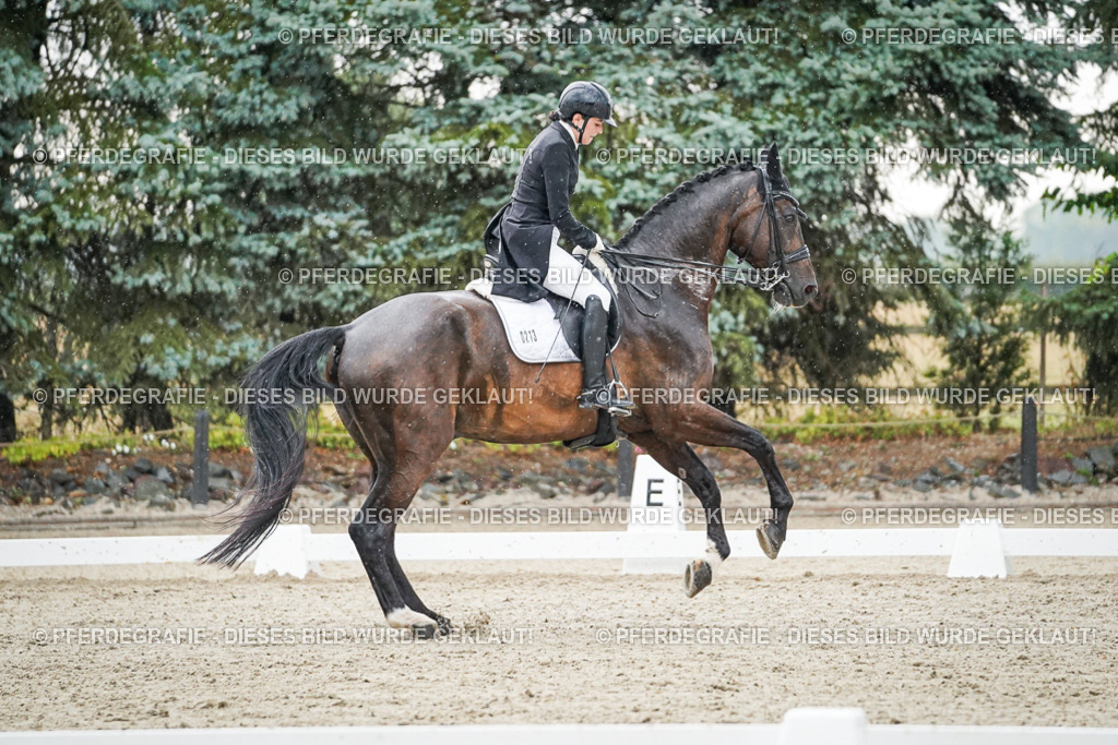 DSC08218 | Pferdegrafie