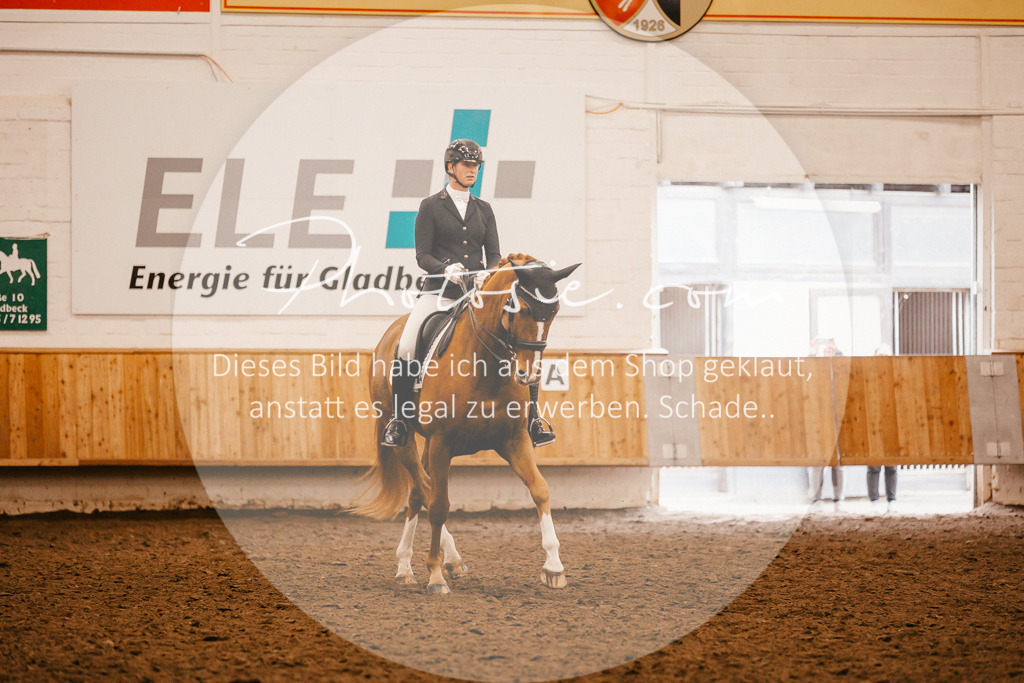 3I6A2609 | Stimmungsvolle Portraits und Reitsportfotografie im Ruhrgebiet und im Münsterland.

Pferdefotografie, Hundefotografie, Tierfotografie, Reportagen, Portraits von Tier und Mensch, Turnierfotografie in Bochum, Recklinghausen, Marl, Haltern am See, Dülmen.. - Realisiert mit Pictrs.com
