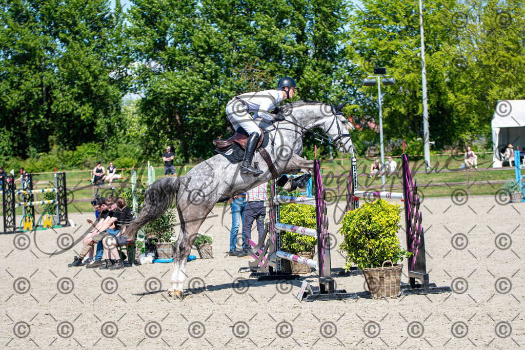 KPT_1305 | andre_photographic